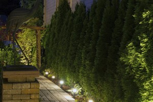 Landscape Lighting in Greewich