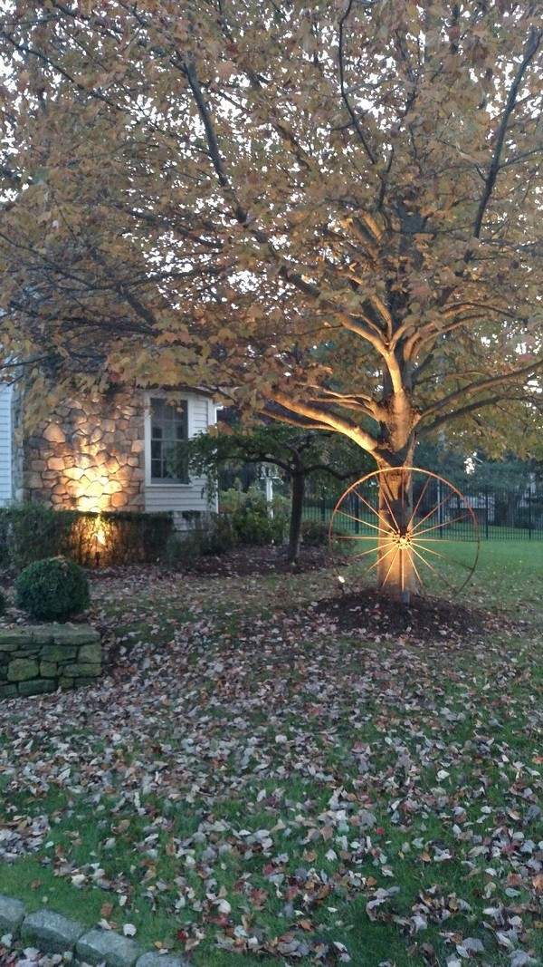 Landscape Lighting Weston